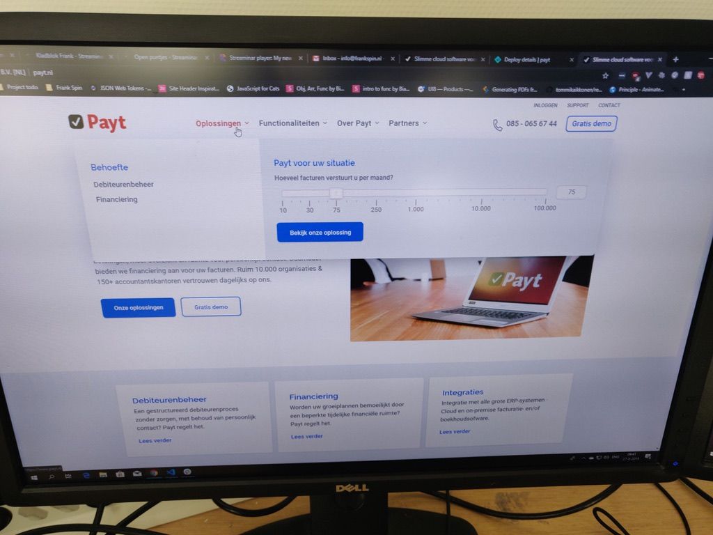 Screenshot of the Payt Software website