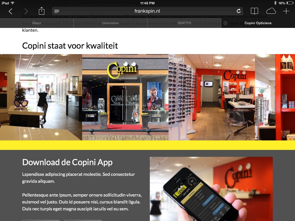 Main preview of the Copini project