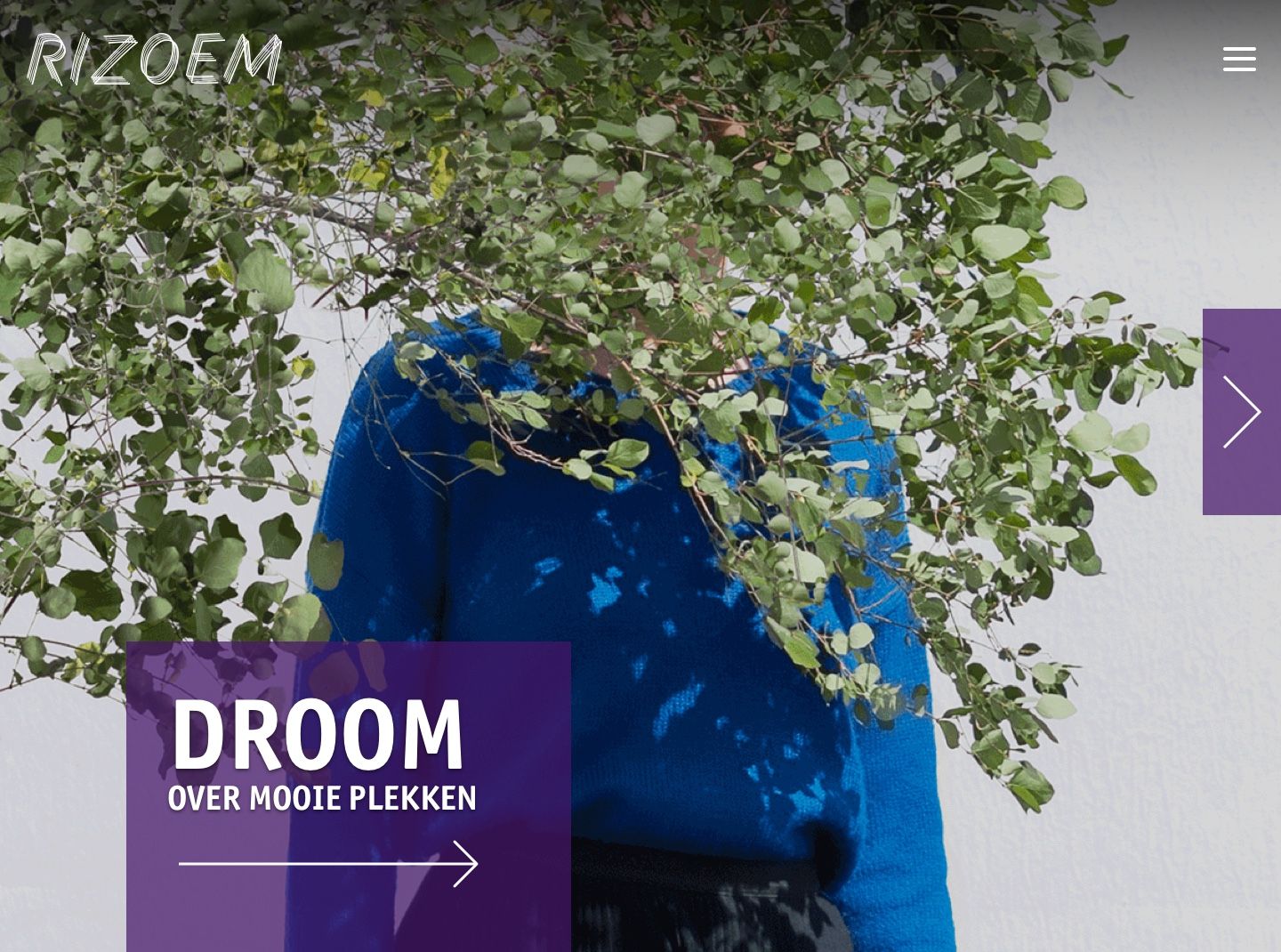 Screenshot of the Rizoem website