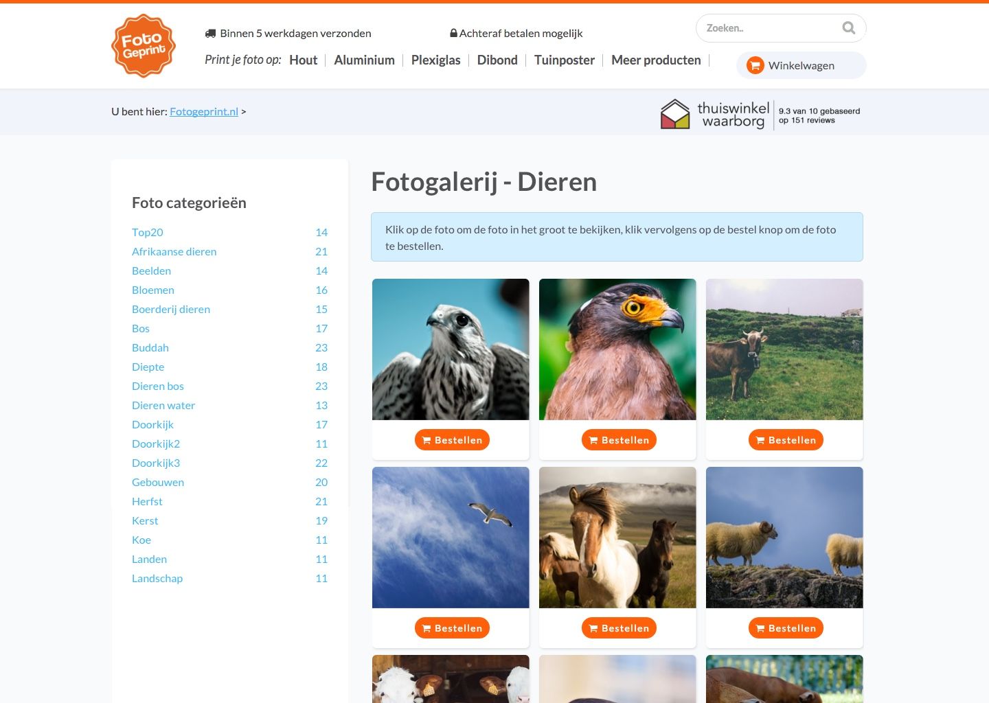 Main preview of the Fotogeprint project