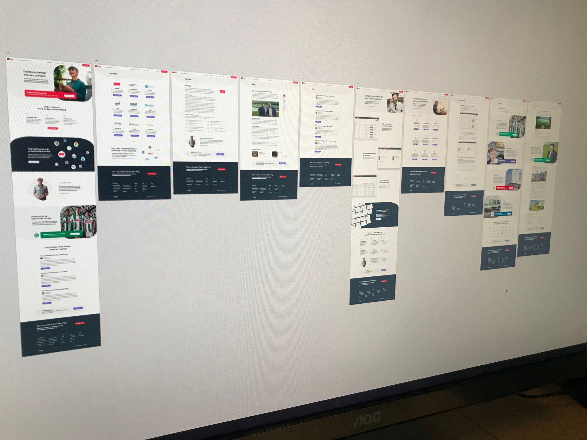 Screen capture from Payt Software