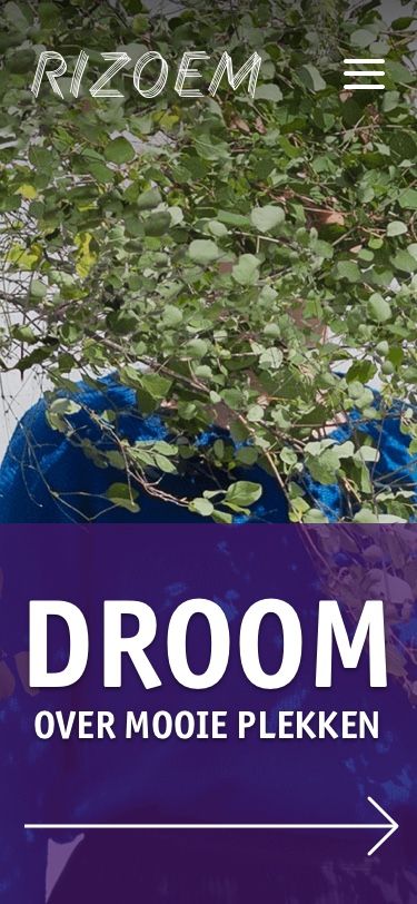 Full webpage screenshot of Rizoem