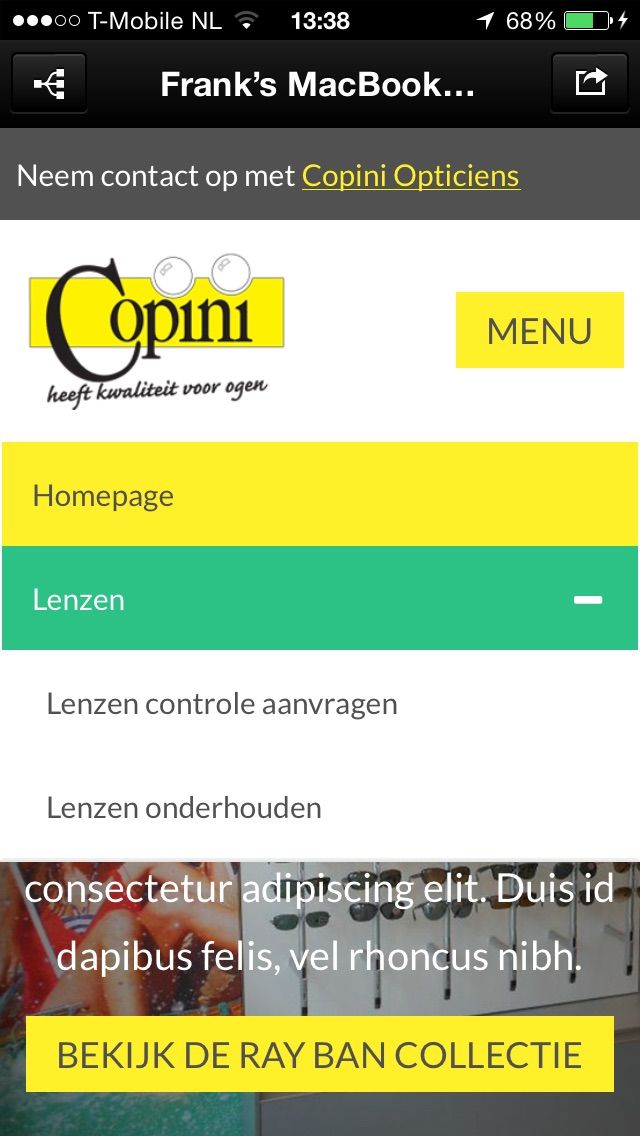 Extended page view of the Copini site