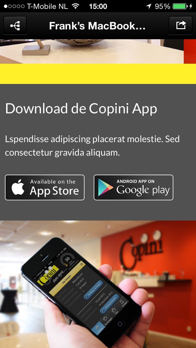 Full webpage screenshot of Copini