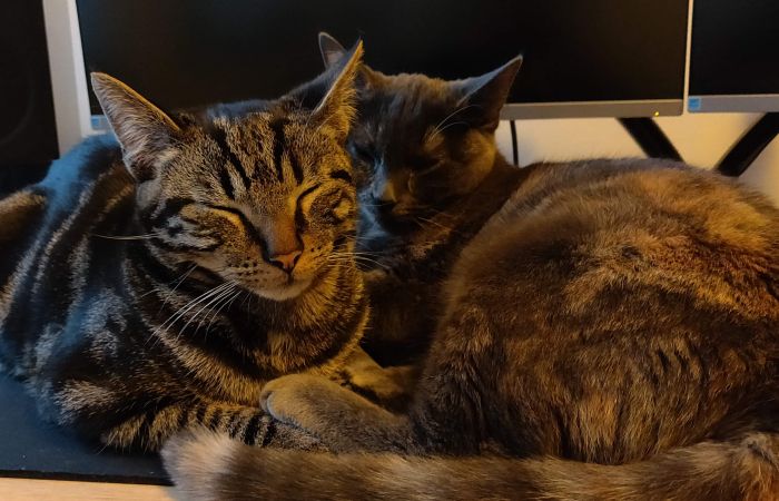 Amos links en Gunny Rechts