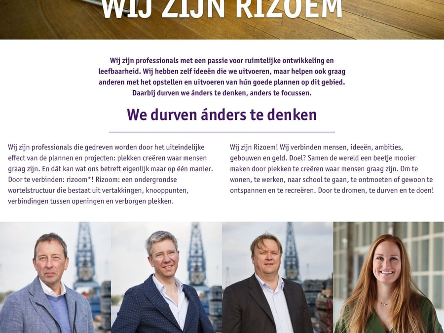 Main preview of the Rizoem project