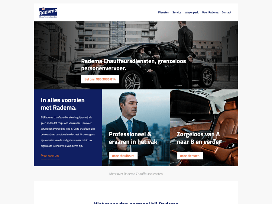 Main preview of the Radema project