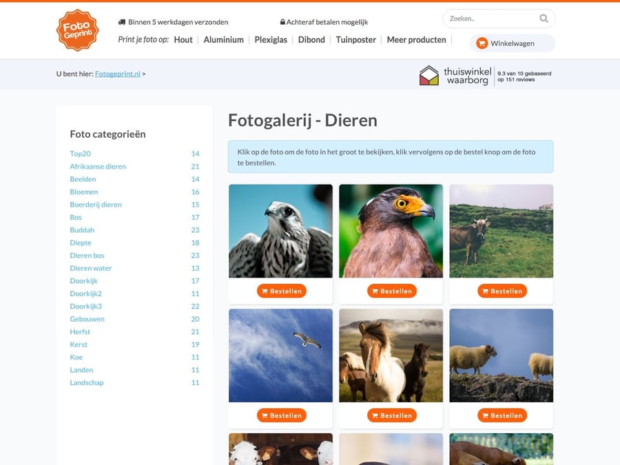 Main preview of the Fotogeprint project