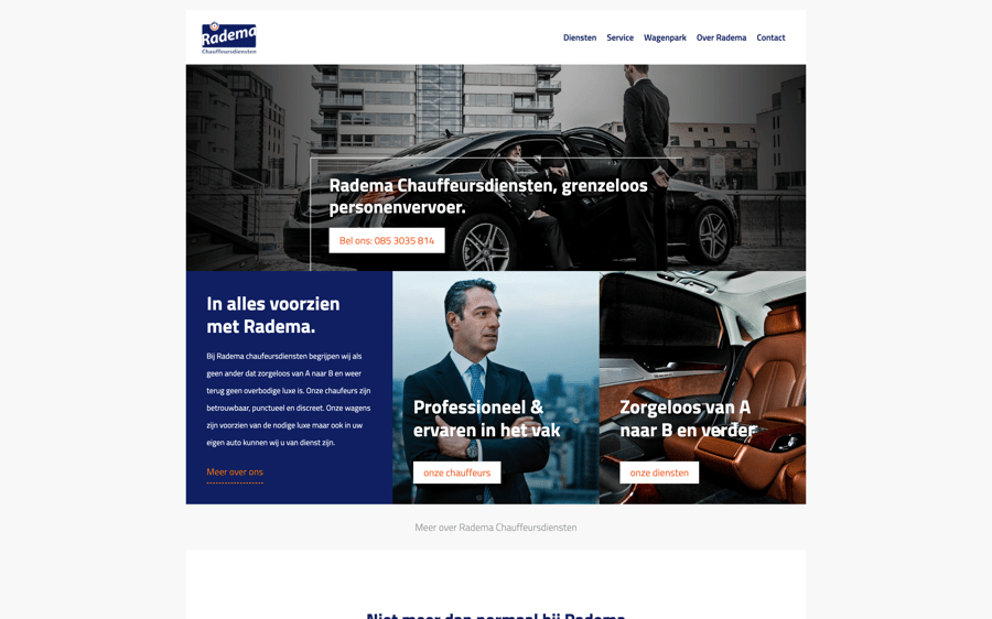 Main preview of the Radema project