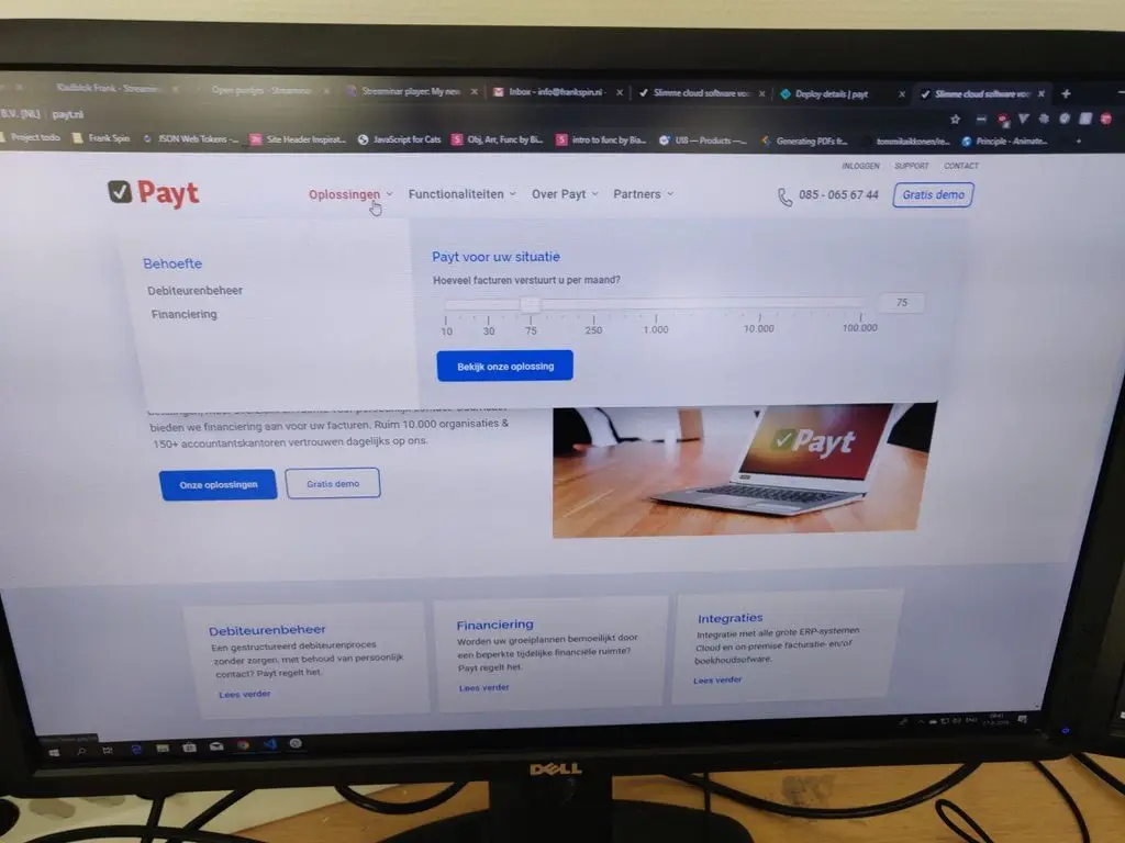 Screenshot of the Payt Software website