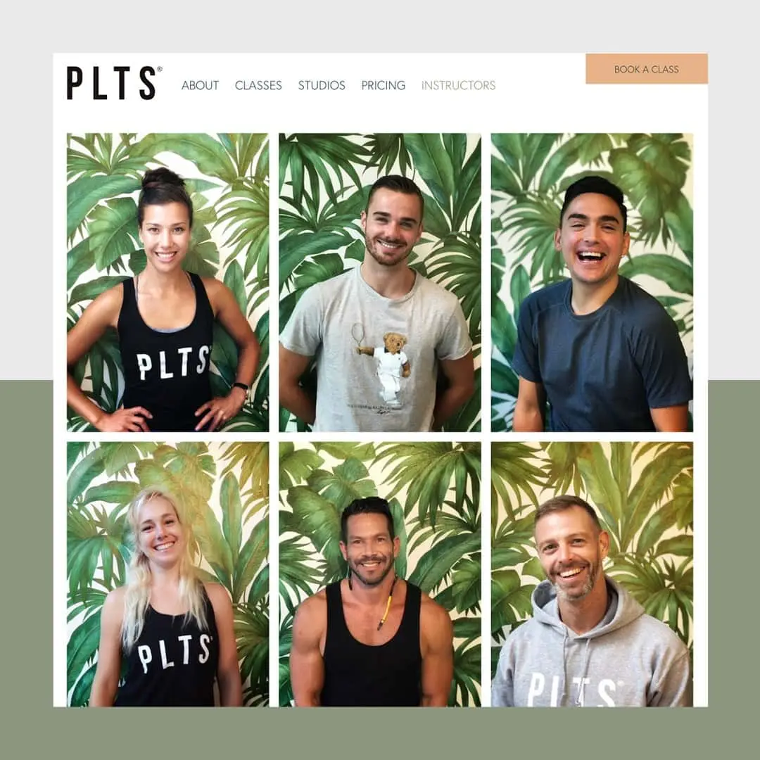 Screenshot van de PLTS website