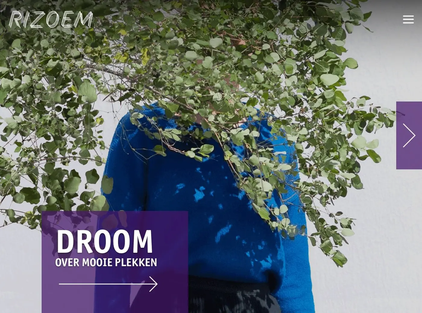 Screenshot of the Rizoem website