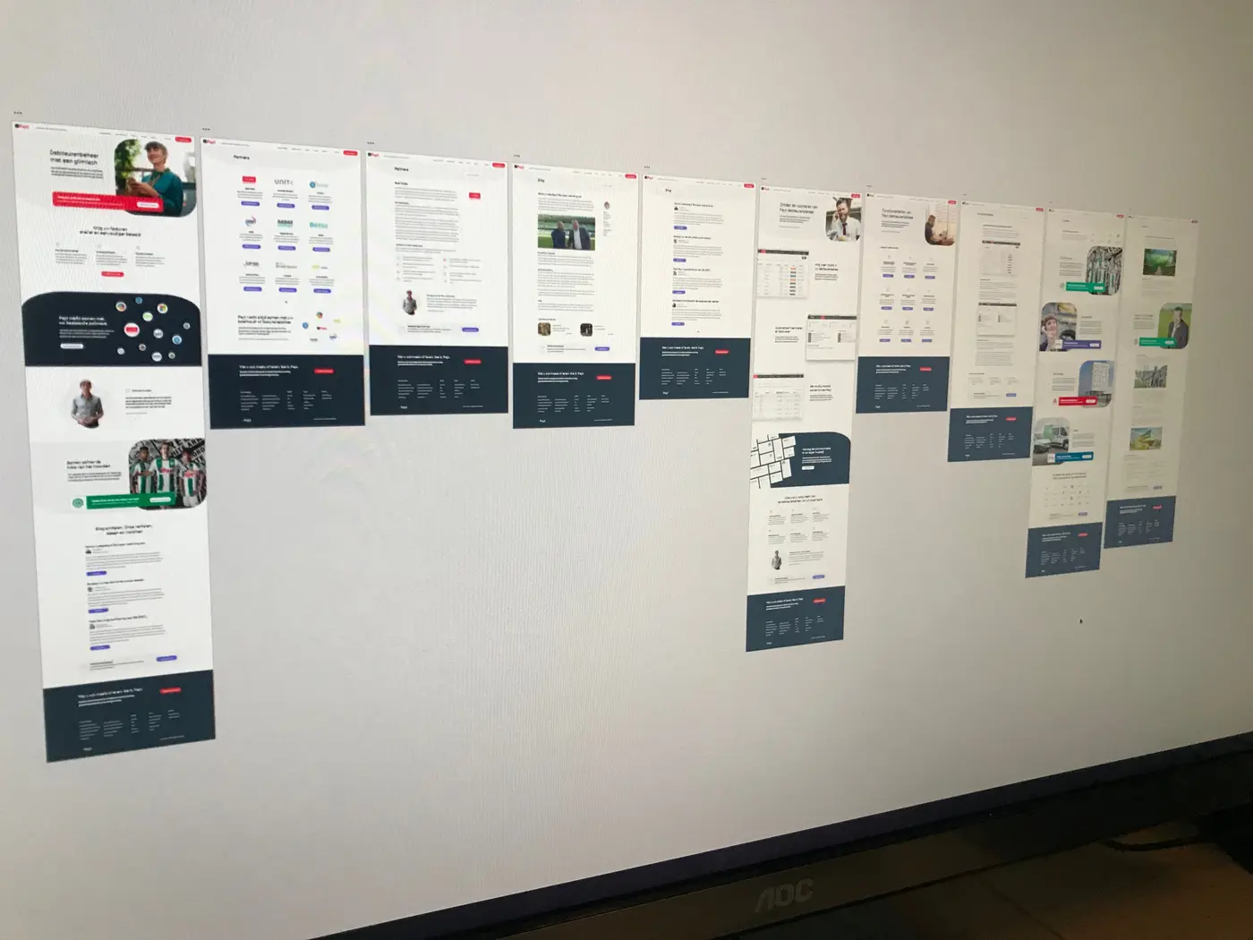 Screen capture from Payt Software