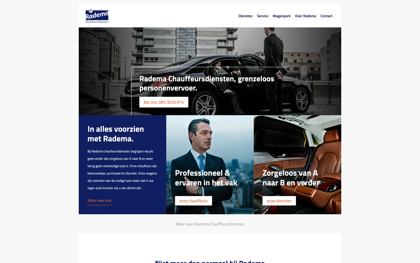 Main preview of the Radema project