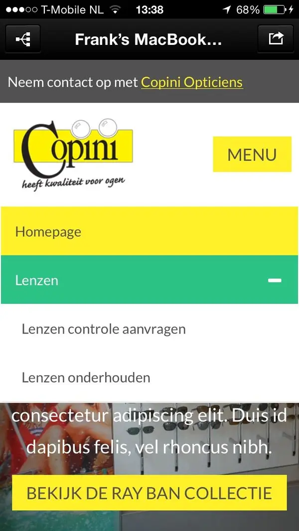 Extended page view of the Copini site