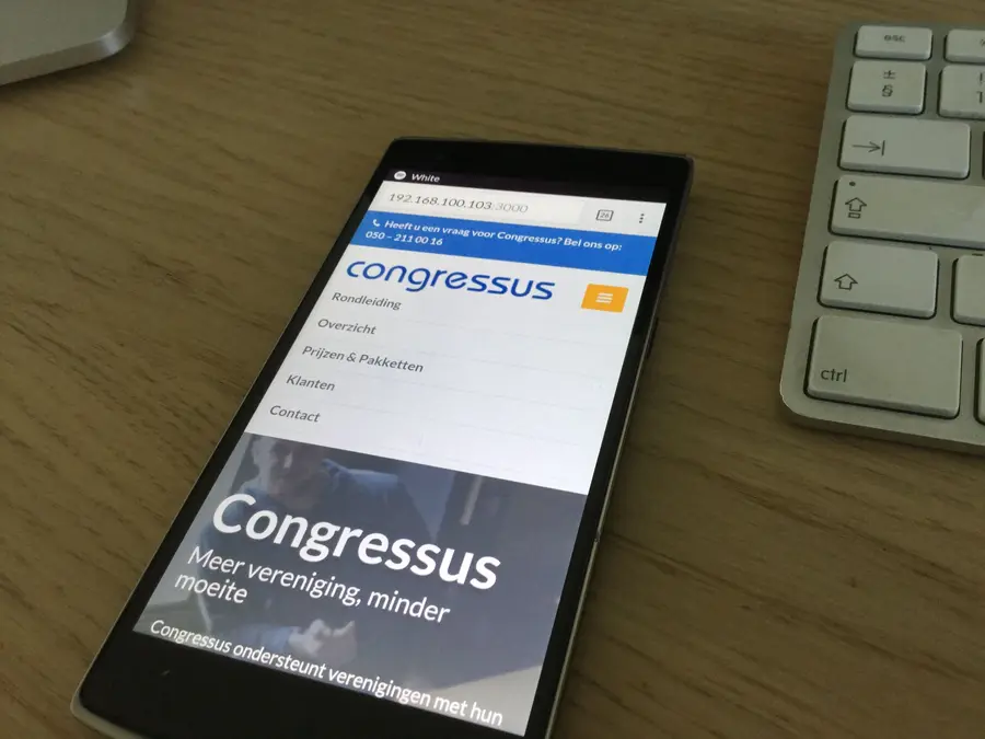 UI detail from the Congressus project
